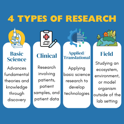 4 Types of Research: Basic Science, Clinical, Applied/Translational, Field.