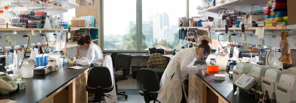 Two undergraduate research students in a lab.