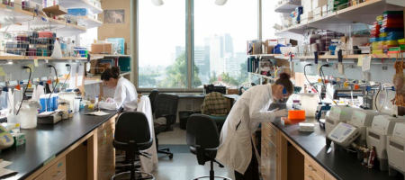 Two undergraduate research students in a lab.