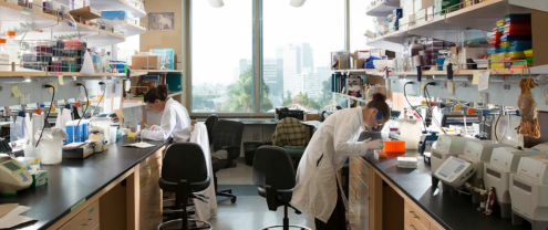 Two undergraduate research students in a lab.