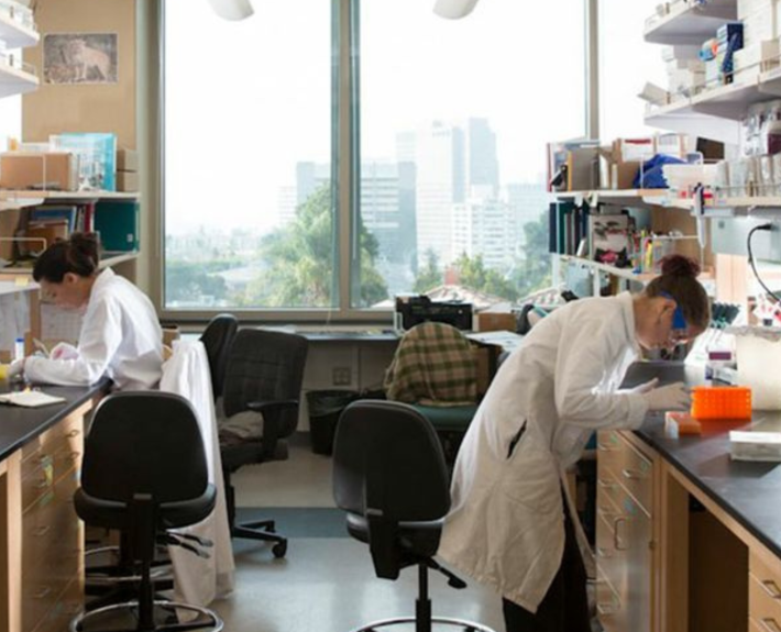 Two undergraduate research students in a lab.
