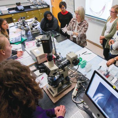 Lab meeting
