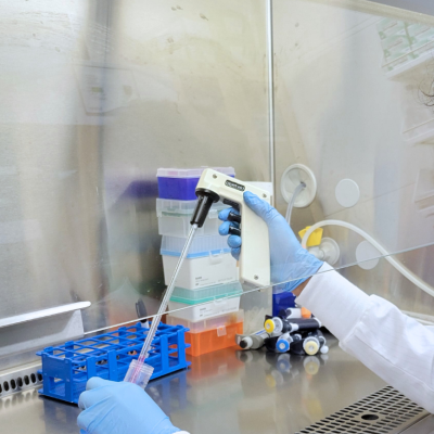 Undergraduate pipetting