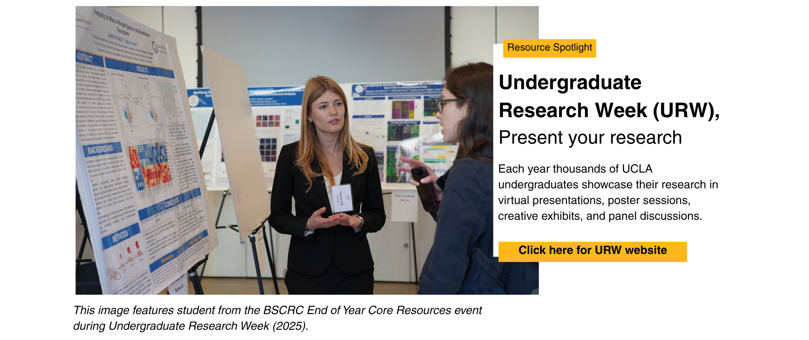 Resource Spotlight: Undergraduate Research Week (URW), Present your research. Each year thousands of UCLA undergraduates showcase their research in virtual presentations, poster sessions, creative exhibits, and panel discussions. Click here for URW website. This image features student from the BSCRC End of Year Core Resources event during Undergraduate Research Week (2025).